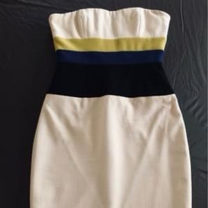 BCBG Holiday Cocktail Dress